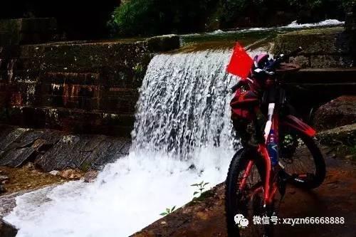 无忧国际wy6999